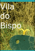 Vila do Bispo - Junho 2005